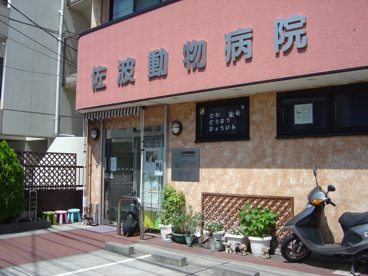 佐波動物病院の画像1
