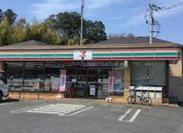 セブンイレブン さいたま大谷店の画像1