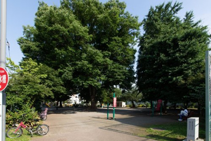 椎名町公園の画像2