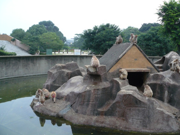 大浜公園の画像2