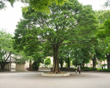 豊島区立 上り屋敷公園