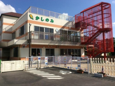 樫の実保育園の画像1