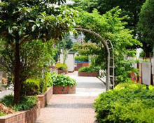 谷端川南緑道 立教通り