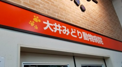 大井みどり動物病院の画像1