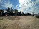 つばき公園の画像