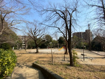 三田丘の上公園