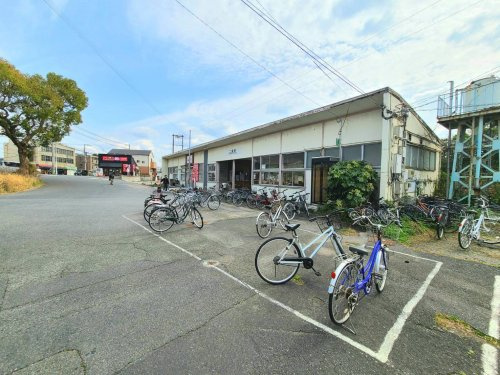 の画像