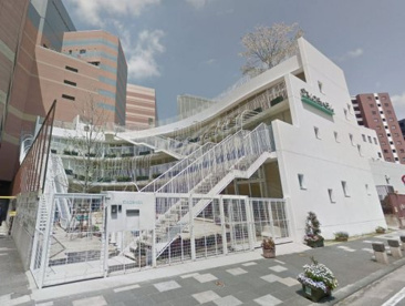 どろんこ保育園の画像1