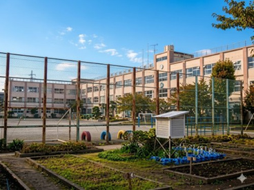 大谷田小学校の画像1
