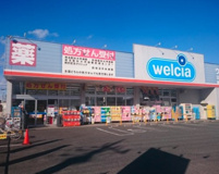 ウエルシア日高高麗川店