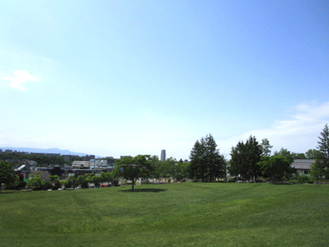 熊の沢公園の画像2