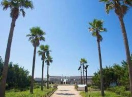 湘南海岸公園の画像1