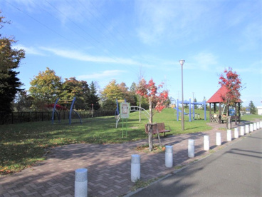 厚別北森林三角公園の画像1