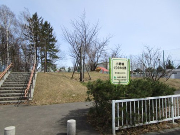 小野幌くりの木公園の画像1