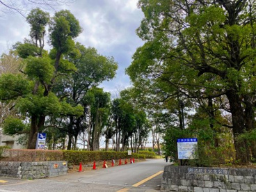 所沢市/所沢航空記念公園の画像1
