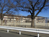 甲府市立大国小学校