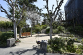 公園 北郷公園