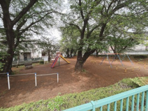 関沢公園