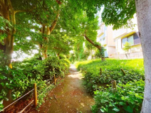 八ヶ上西緑地公園