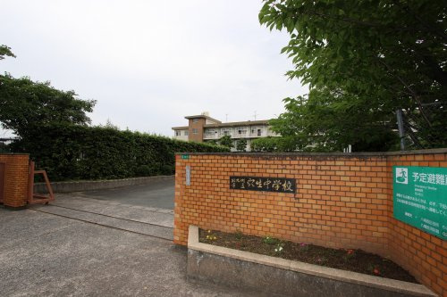 の画像