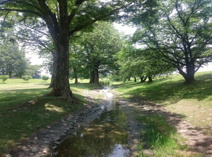 信玄堤公園