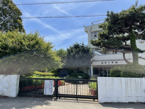 の画像