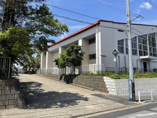 の画像