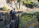 板橋区立氷川つり堀公園の画像