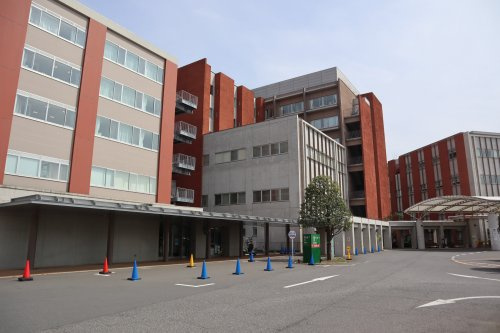 の画像