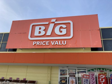 The Big(ザ・ビッグ) エクストラ阿南店の画像1