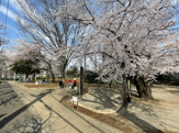 新宿区立西戸山公園