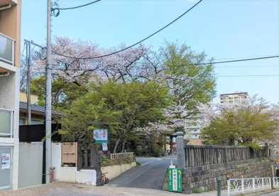 慈眼院 澤蔵司稲荷の画像1