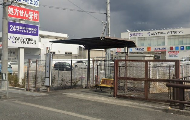 の画像