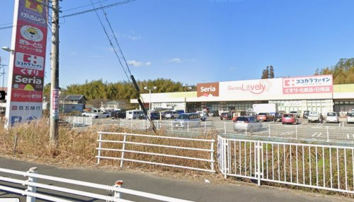 の画像