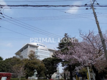 私立神奈川大学