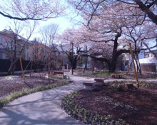 公園 吉祥寺北緑地
