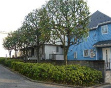 北町一丁目緑地