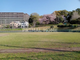 横浜市神の木公園野球場