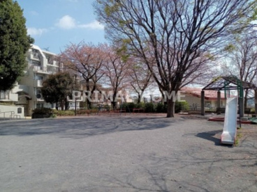 公園の画像1