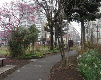 吉祥寺の杜 宮本小路公園の画像1