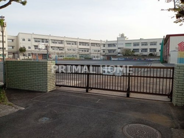 横浜市立白根小学校の画像1