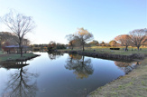古河総合公園