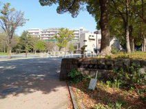 沢渡中央公園