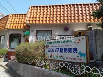 ヨコハマ動物病院
