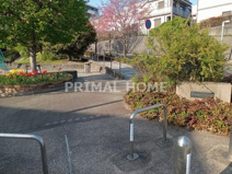 六角橋六丁目公園