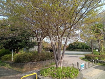 菅田みどりの丘公園の画像2