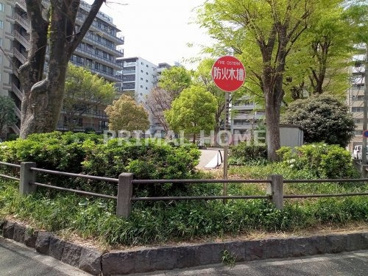 新横浜第一公園の画像1