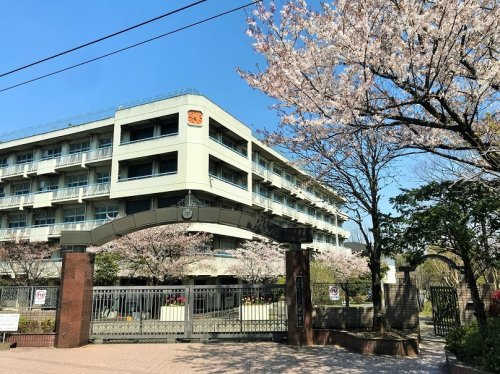 の画像