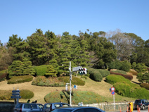 代々木公園
