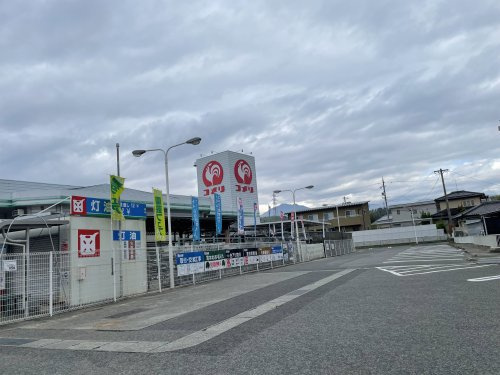 の画像